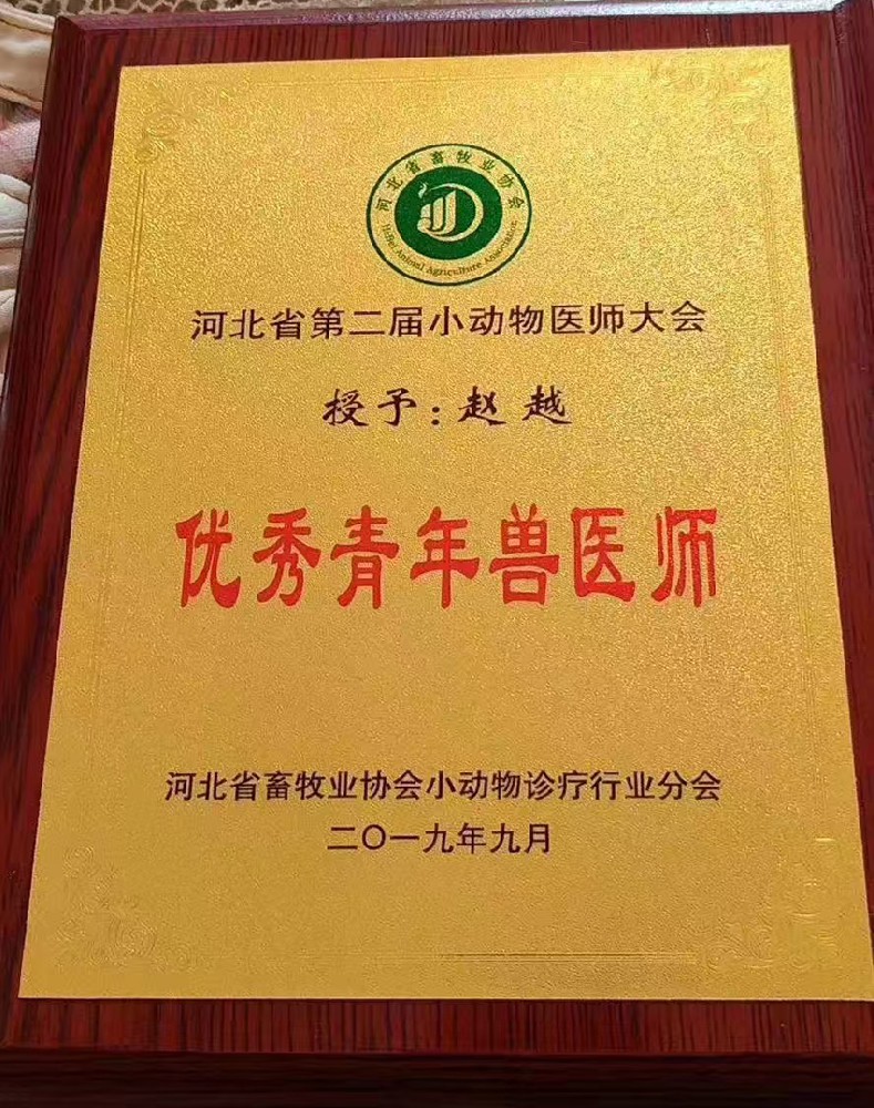 2026年邯郸可靠的宠物医院盘点